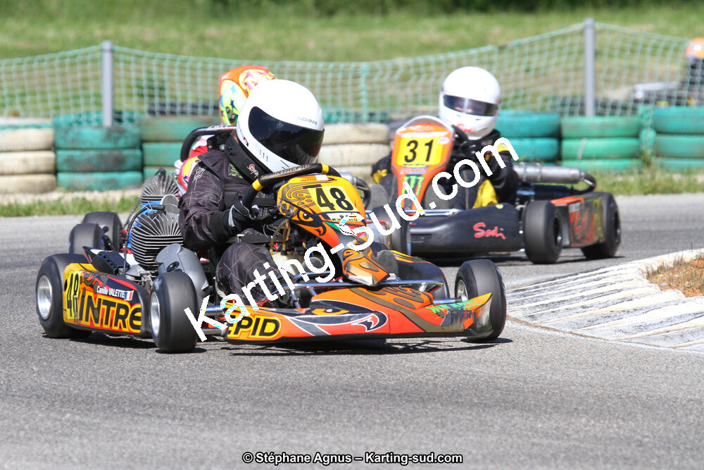 02/06/2013 : 4ème manche du Championnat du Sud 2013 à Alès (Photos Stéphane Agnus) 2013 — karting