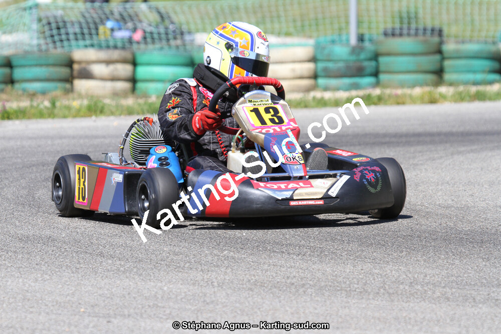 02/06/2013 : 4ème manche du Championnat du Sud 2013 à Alès (Photos Stéphane Agnus) 2013 — karting