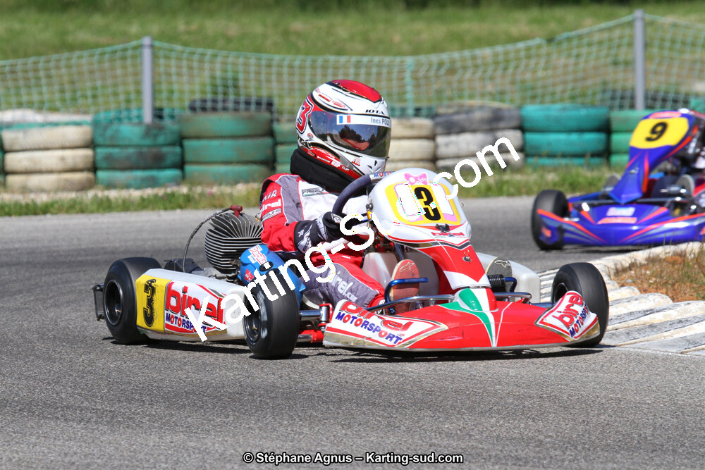 02/06/2013 : 4ème manche du Championnat du Sud 2013 à Alès (Photos Stéphane Agnus) 2013 — karting