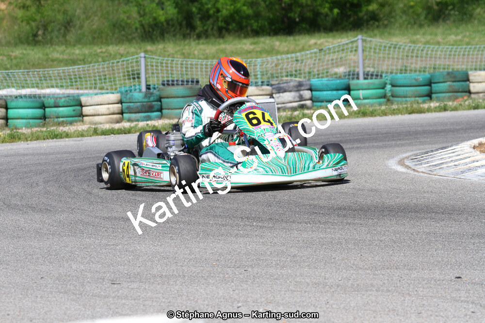 02/06/2013 : 4ème manche du Championnat du Sud 2013 à Alès (Photos Stéphane Agnus) 2013 — karting