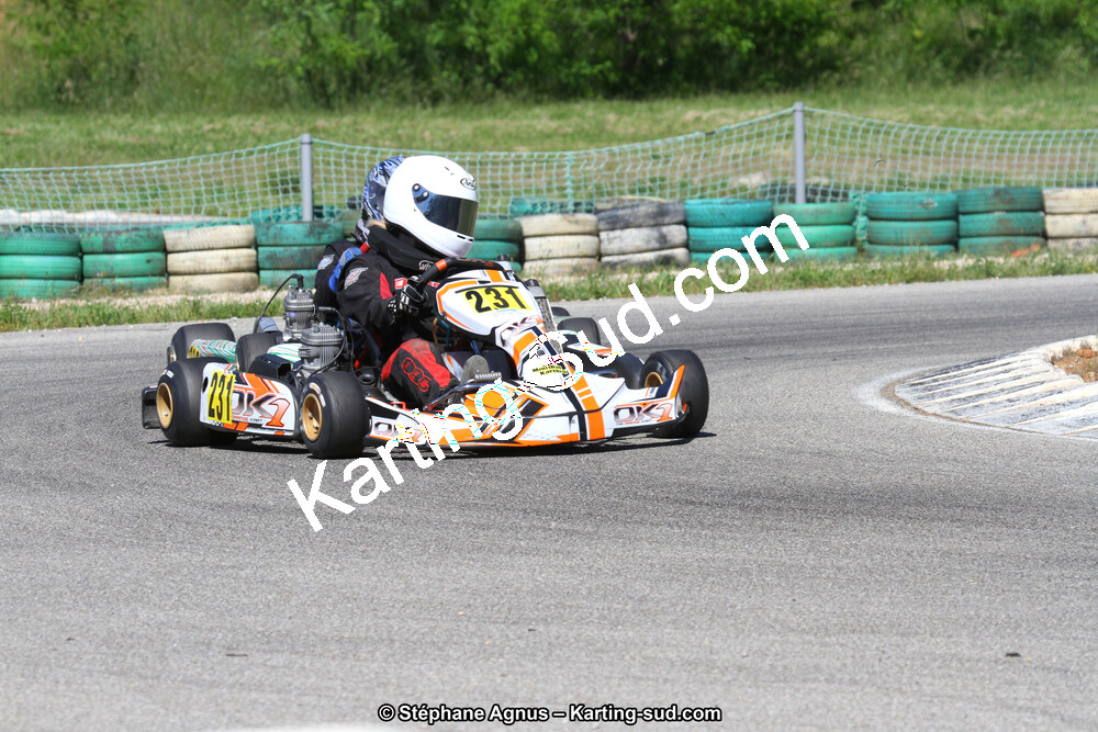 02/06/2013 : 4ème manche du Championnat du Sud 2013 à Alès (Photos Stéphane Agnus) 2013 — karting