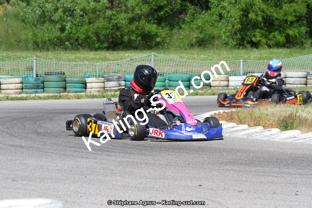 02/06/2013 : 4ème manche du Championnat du Sud 2013 à Alès (Photos Stéphane Agnus) 2013 — karting