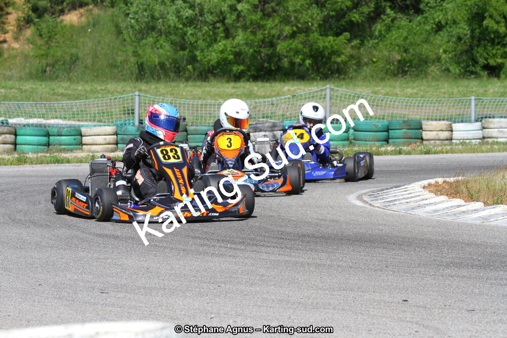 02/06/2013 : 4ème manche du Championnat du Sud 2013 à Alès (Photos Stéphane Agnus) 2013 — karting
