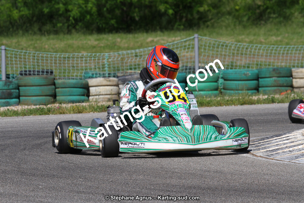 02/06/2013 : 4ème manche du Championnat du Sud 2013 à Alès (Photos Stéphane Agnus) 2013 — karting