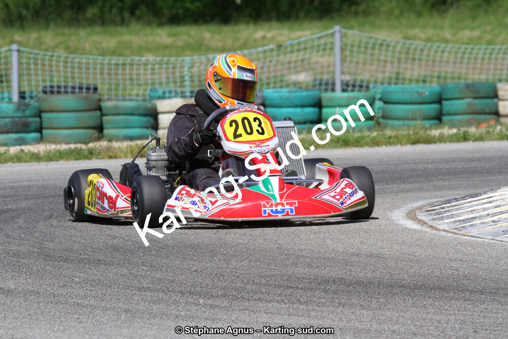 02/06/2013 : 4ème manche du Championnat du Sud 2013 à Alès (Photos Stéphane Agnus) 2013 — karting