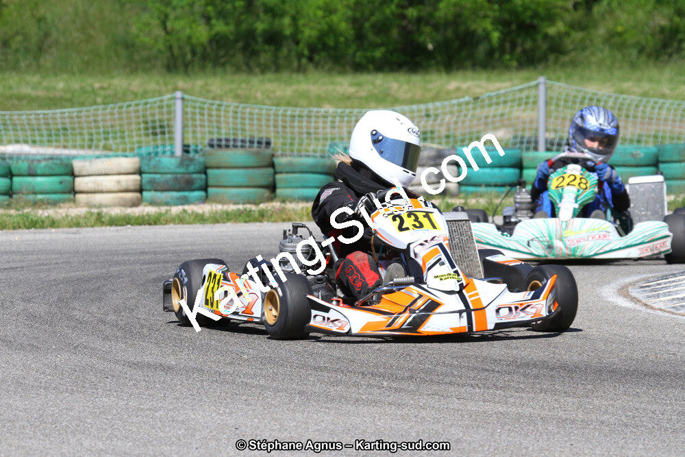 02/06/2013 : 4ème manche du Championnat du Sud 2013 à Alès (Photos Stéphane Agnus) 2013 — karting