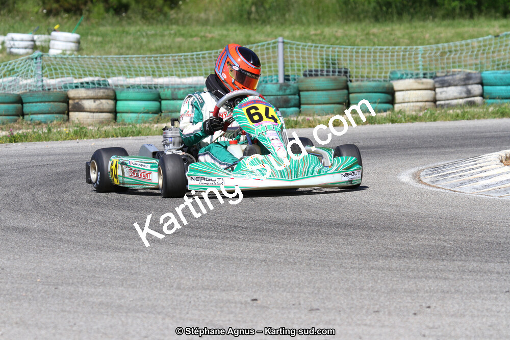 02/06/2013 : 4ème manche du Championnat du Sud 2013 à Alès (Photos Stéphane Agnus) 2013 — karting