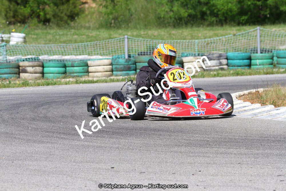02/06/2013 : 4ème manche du Championnat du Sud 2013 à Alès (Photos Stéphane Agnus) 2013 — karting