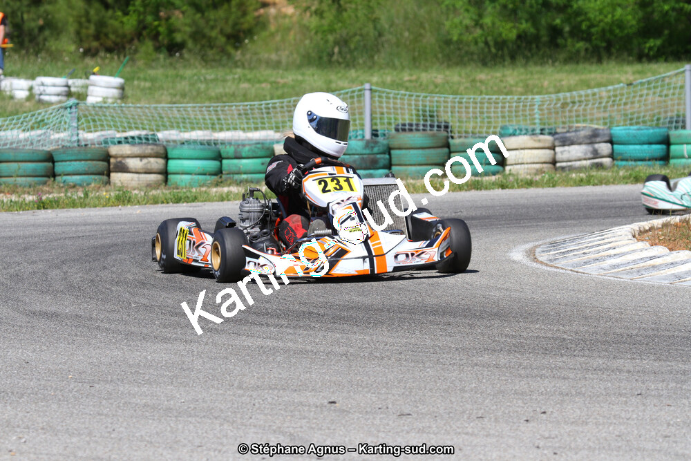 02/06/2013 : 4ème manche du Championnat du Sud 2013 à Alès (Photos Stéphane Agnus) 2013 — karting