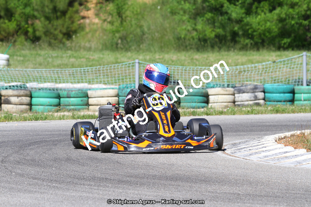 02/06/2013 : 4ème manche du Championnat du Sud 2013 à Alès (Photos Stéphane Agnus) 2013 — karting