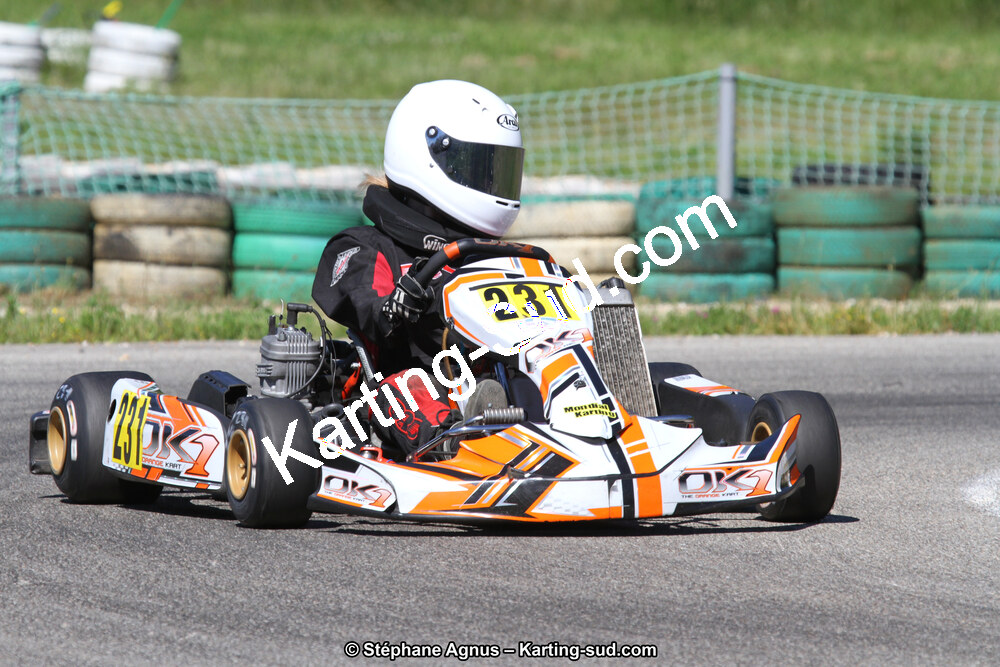 02/06/2013 : 4ème manche du Championnat du Sud 2013 à Alès (Photos Stéphane Agnus) 2013 — karting