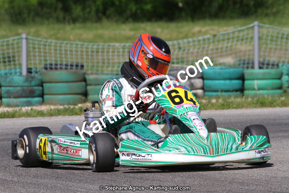 02/06/2013 : 4ème manche du Championnat du Sud 2013 à Alès (Photos Stéphane Agnus) 2013 — karting
