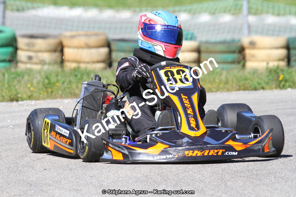 02/06/2013 : 4ème manche du Championnat du Sud 2013 à Alès (Photos Stéphane Agnus) 2013 — karting
