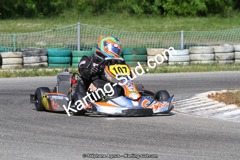 02/06/2013 : 4ème manche du Championnat du Sud 2013 à Alès (Photos Stéphane Agnus) 2013 — karting