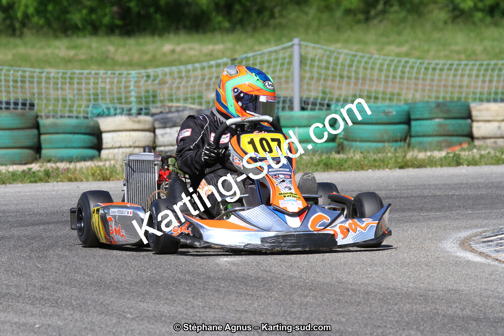 02/06/2013 : 4ème manche du Championnat du Sud 2013 à Alès (Photos Stéphane Agnus) 2013 — karting