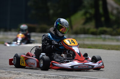 02/06/2013 : 4ème manche du Championnat du Sud 2013 à Alès (Photos Antoine Camblor) 2013 — karting