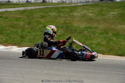 02/06/2013 : 4ème manche du Championnat du Sud 2013 à Alès (Photos Antoine Camblor) 2013 — karting