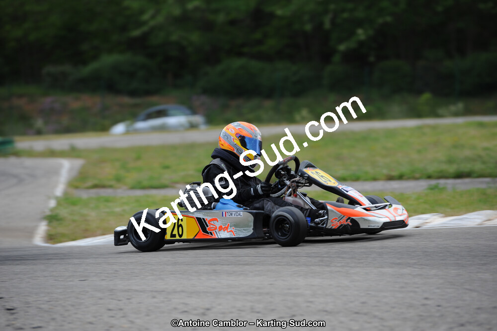02/06/2013 : 4ème manche du Championnat du Sud 2013 à Alès (Photos Antoine Camblor) 2013 — karting