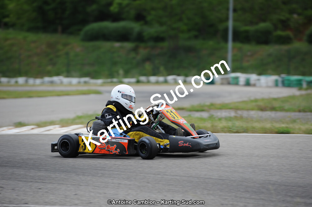 02/06/2013 : 4ème manche du Championnat du Sud 2013 à Alès (Photos Antoine Camblor) 2013 — karting