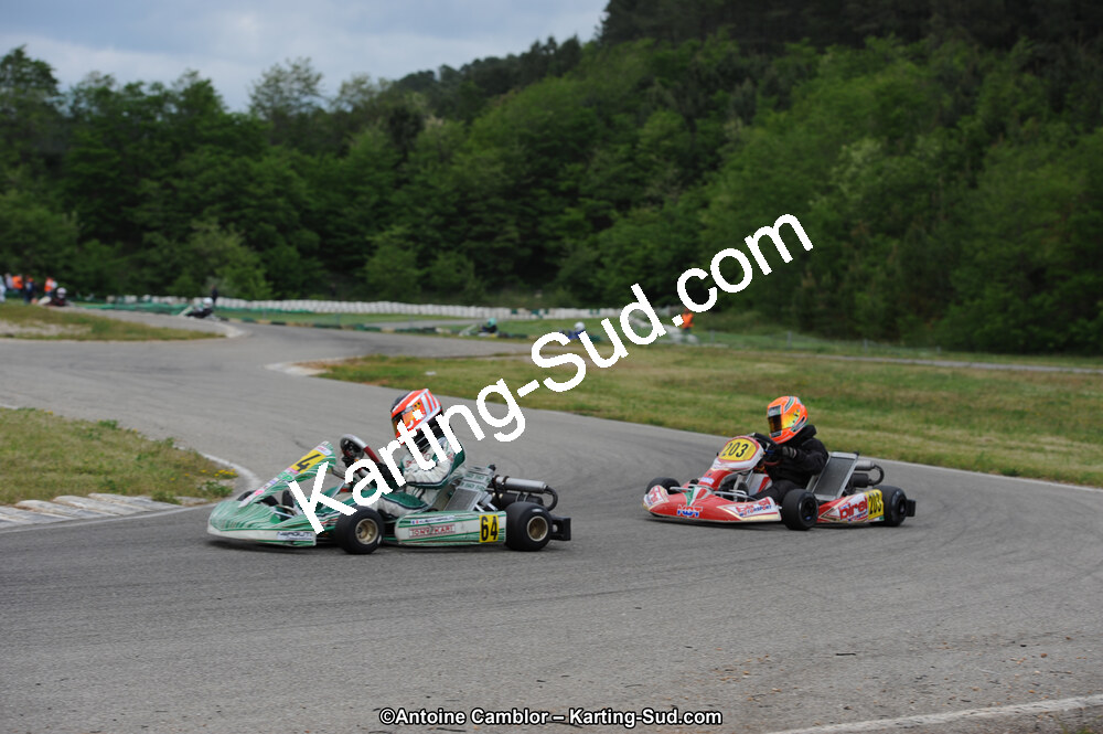 02/06/2013 : 4ème manche du Championnat du Sud 2013 à Alès (Photos Antoine Camblor) 2013 — karting