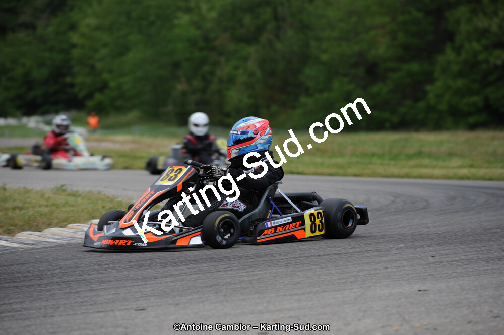 02/06/2013 : 4ème manche du Championnat du Sud 2013 à Alès (Photos Antoine Camblor) 2013 — karting