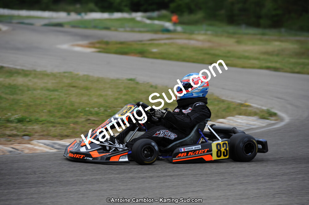 02/06/2013 : 4ème manche du Championnat du Sud 2013 à Alès (Photos Antoine Camblor) 2013 — karting