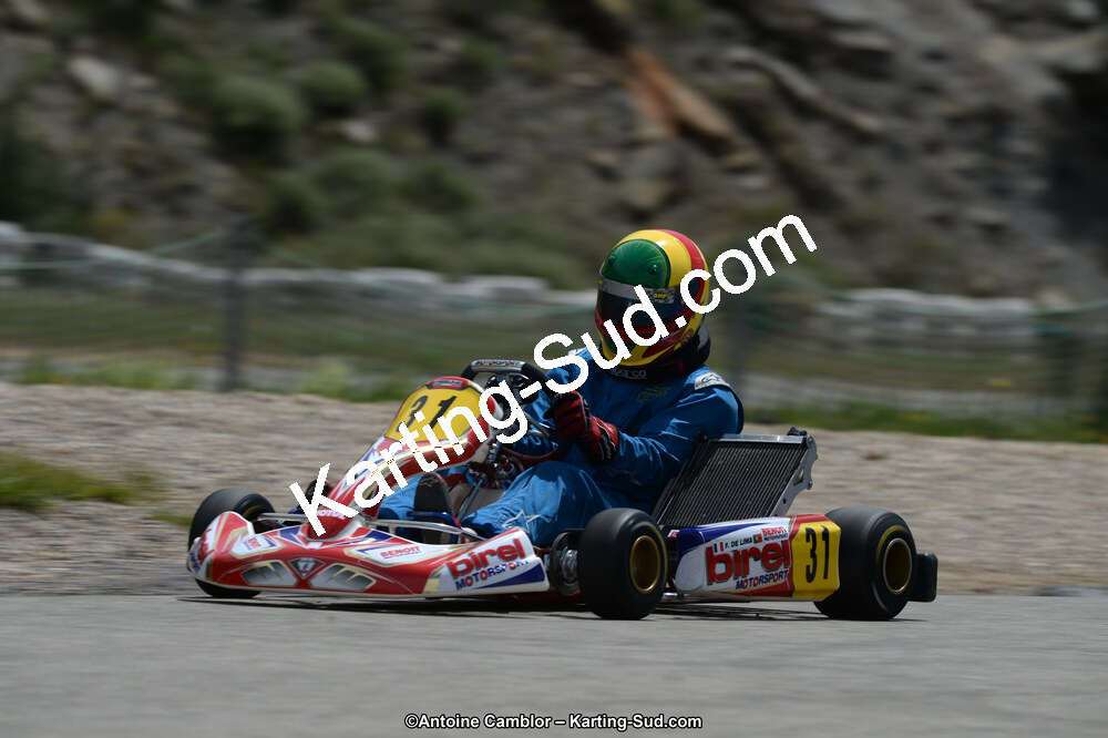 02/06/2013 : 4ème manche du Championnat du Sud 2013 à Alès (Photos Antoine Camblor) 2013 — karting