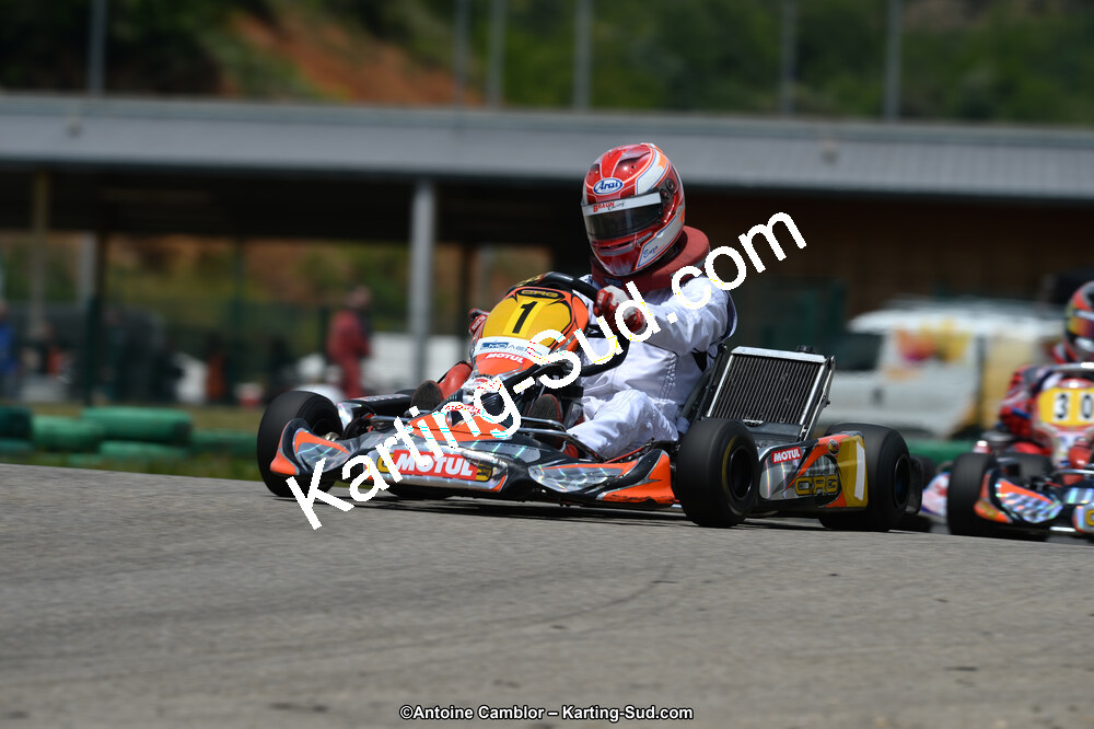 02/06/2013 : 4ème manche du Championnat du Sud 2013 à Alès (Photos Antoine Camblor) 2013 — karting