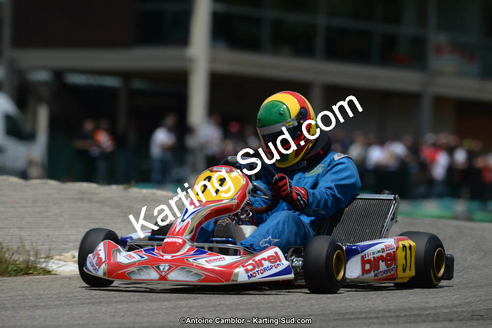 02/06/2013 : 4ème manche du Championnat du Sud 2013 à Alès (Photos Antoine Camblor) 2013 — karting