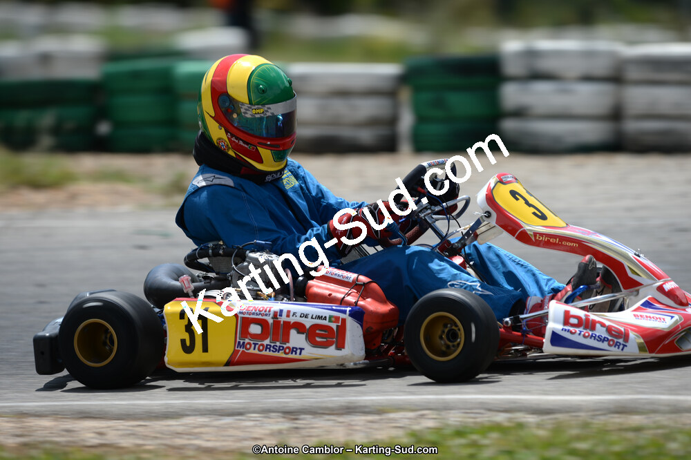 02/06/2013 : 4ème manche du Championnat du Sud 2013 à Alès (Photos Antoine Camblor) 2013 — karting