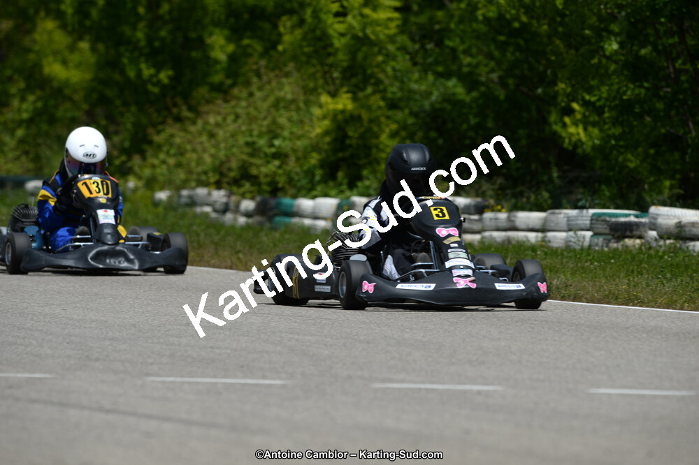 02/06/2013 : 4ème manche du Championnat du Sud 2013 à Alès (Photos Antoine Camblor) 2013 — karting