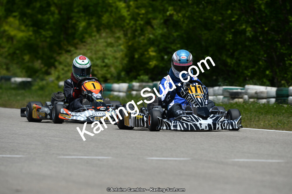 DSC_5311.jpg