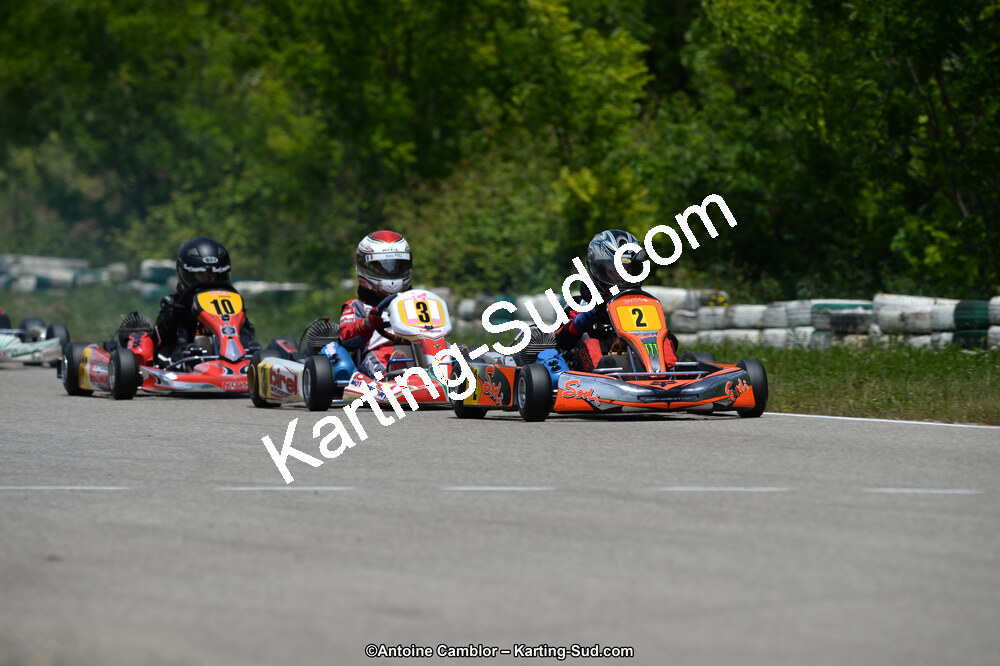 02/06/2013 : 4ème manche du Championnat du Sud 2013 à Alès (Photos Antoine Camblor) 2013 — karting