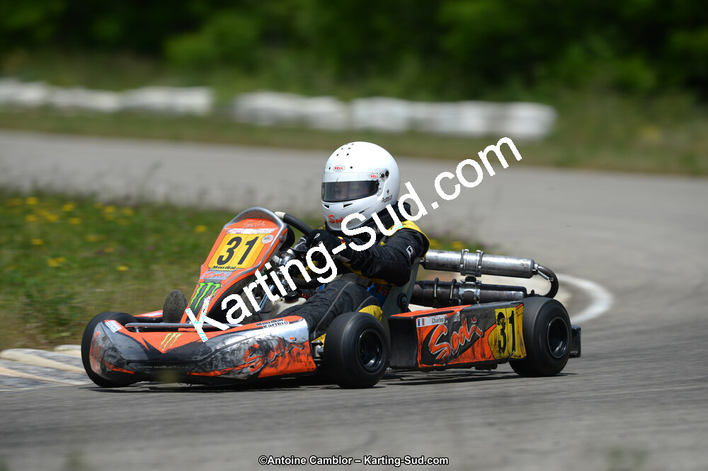 02/06/2013 : 4ème manche du Championnat du Sud 2013 à Alès (Photos Antoine Camblor) 2013 — karting