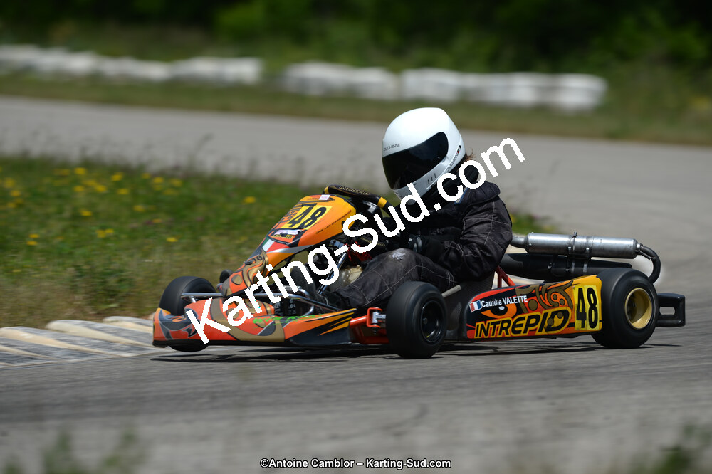 02/06/2013 : 4ème manche du Championnat du Sud 2013 à Alès (Photos Antoine Camblor) 2013 — karting