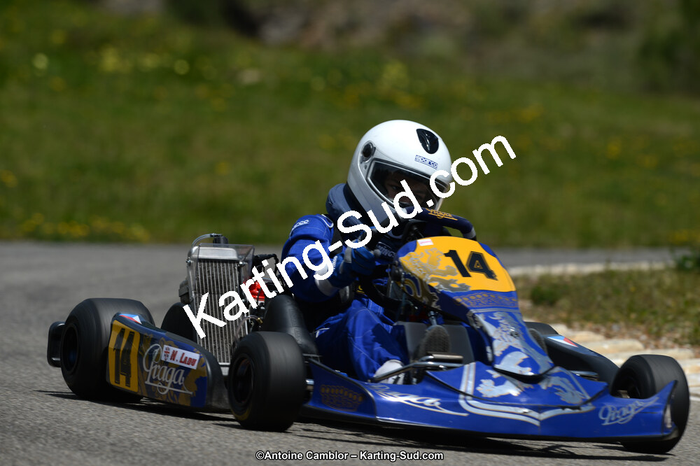 DSC_5446.jpg