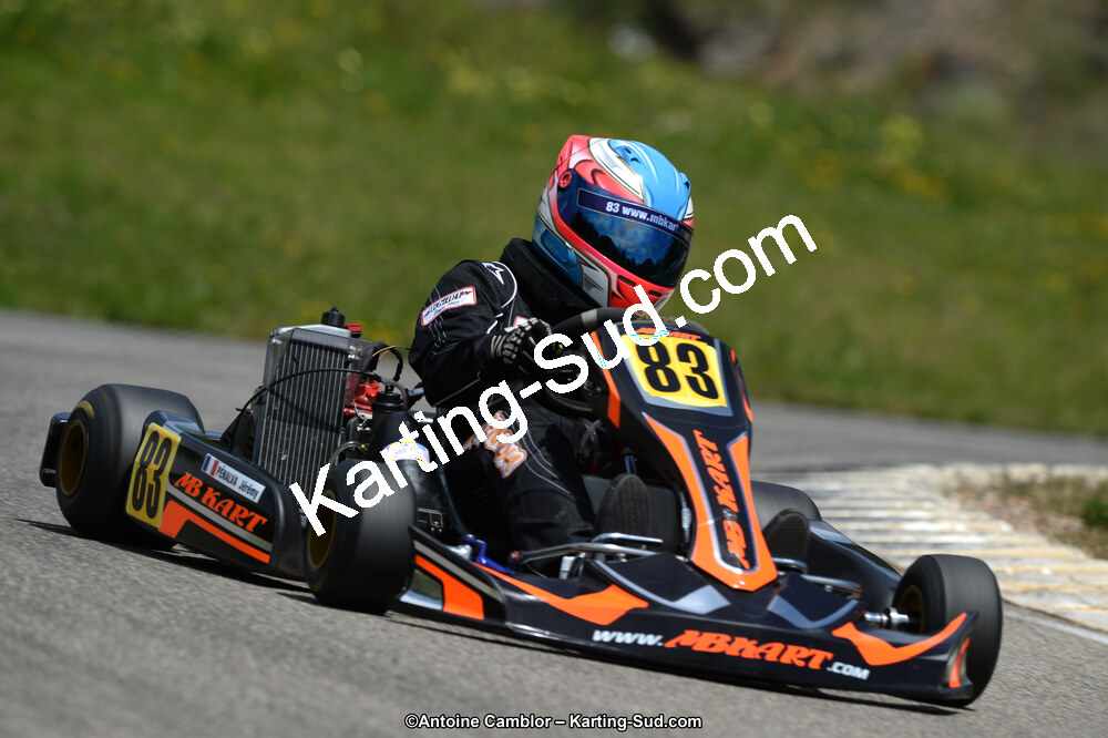 02/06/2013 : 4ème manche du Championnat du Sud 2013 à Alès (Photos Antoine Camblor) 2013 — karting