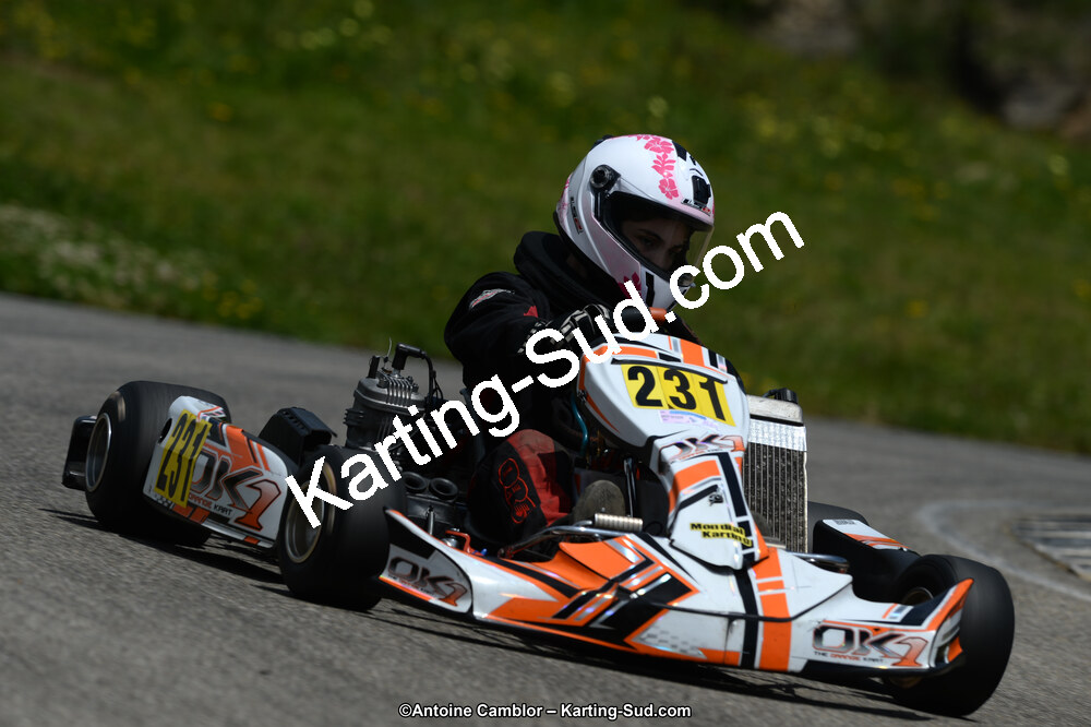 02/06/2013 : 4ème manche du Championnat du Sud 2013 à Alès (Photos Antoine Camblor) 2013 — karting