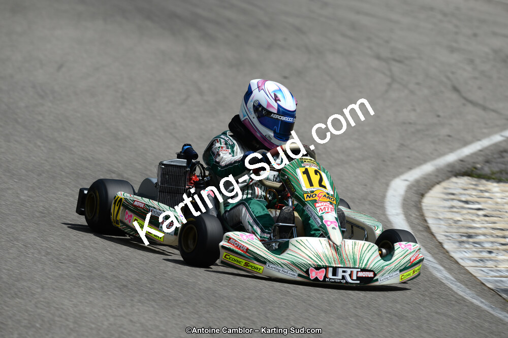 02/06/2013 : 4ème manche du Championnat du Sud 2013 à Alès (Photos Antoine Camblor) 2013 — karting