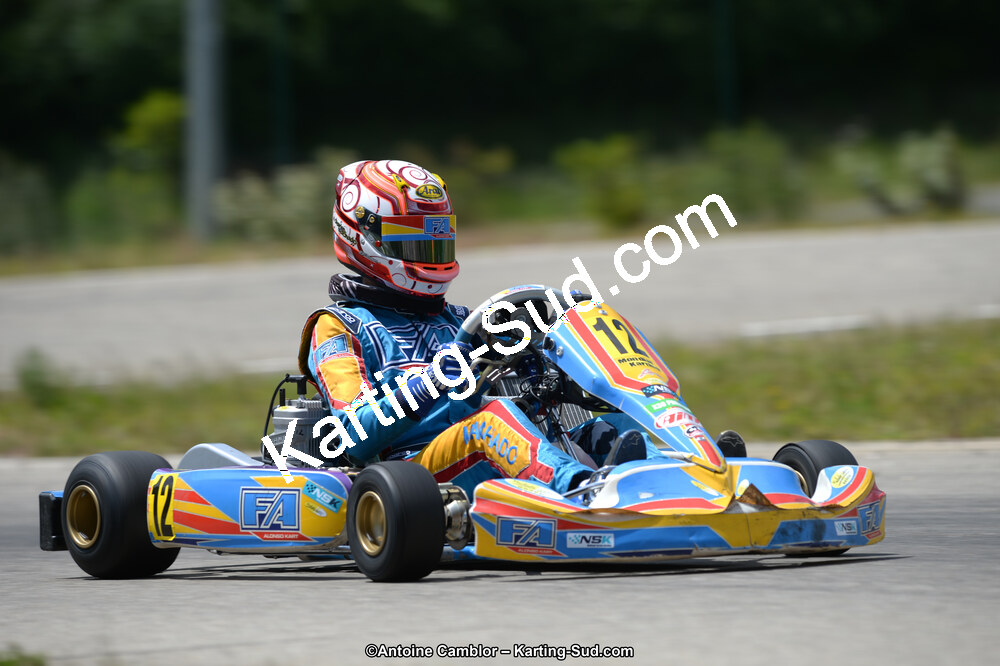 02/06/2013 : 4ème manche du Championnat du Sud 2013 à Alès (Photos Antoine Camblor) 2013 — karting