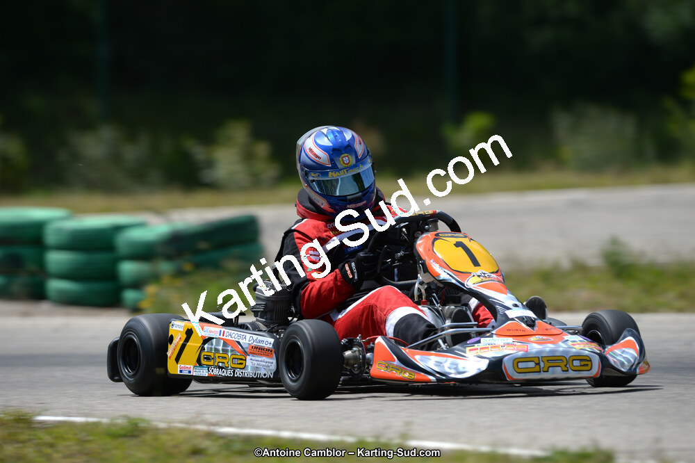 02/06/2013 : 4ème manche du Championnat du Sud 2013 à Alès (Photos Antoine Camblor) 2013 — karting