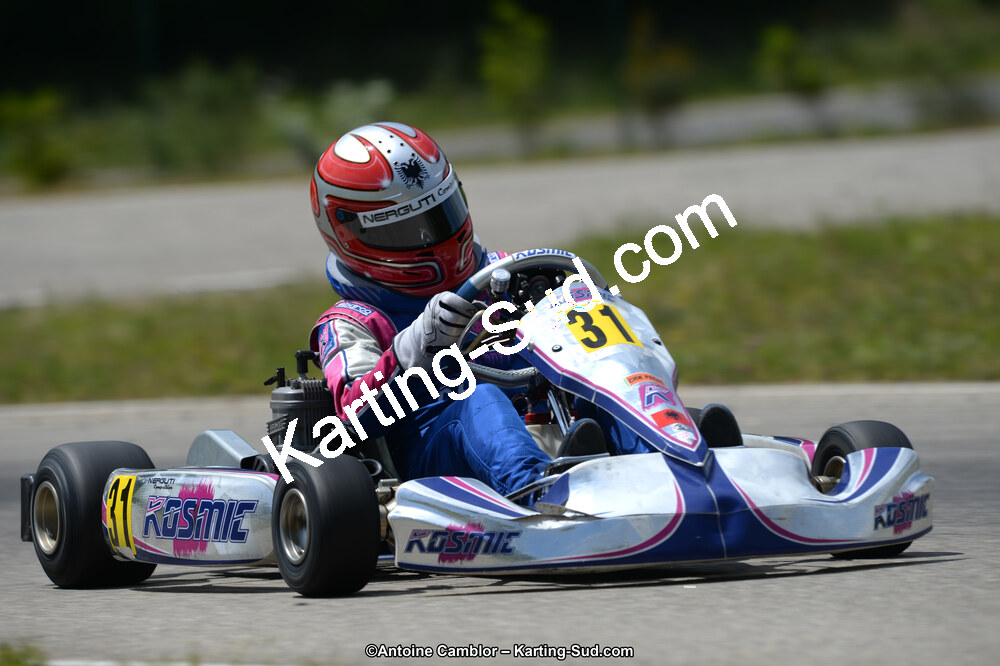 02/06/2013 : 4ème manche du Championnat du Sud 2013 à Alès (Photos Antoine Camblor) 2013 — karting