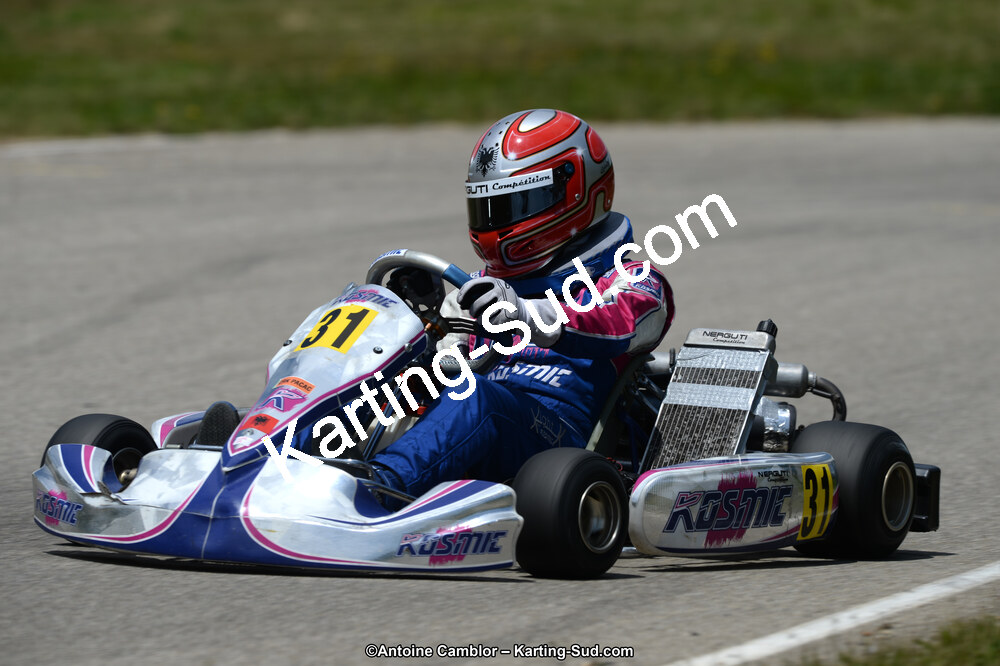 02/06/2013 : 4ème manche du Championnat du Sud 2013 à Alès (Photos Antoine Camblor) 2013 — karting