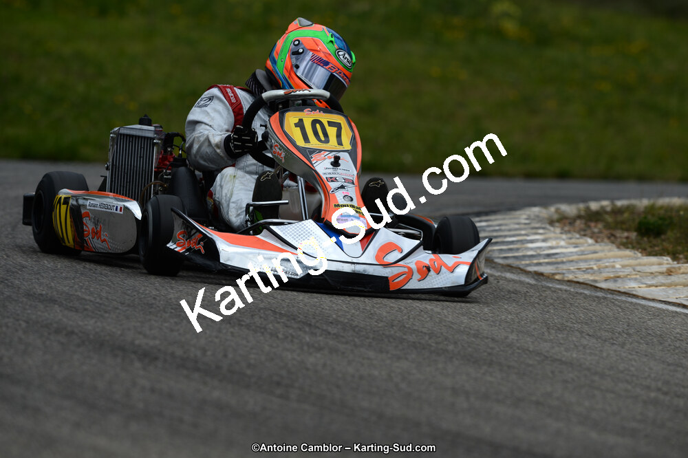 02/06/2013 : 4ème manche du Championnat du Sud 2013 à Alès (Photos Antoine Camblor) 2013 — karting