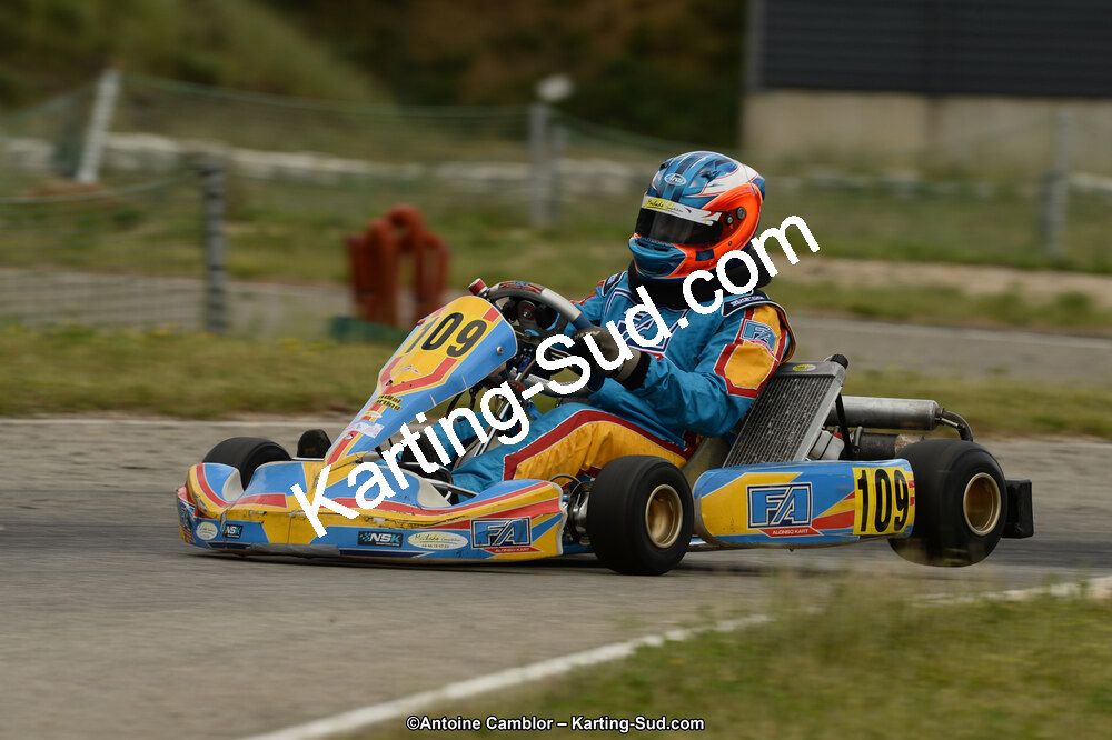 02/06/2013 : 4ème manche du Championnat du Sud 2013 à Alès (Photos Antoine Camblor) 2013 — karting