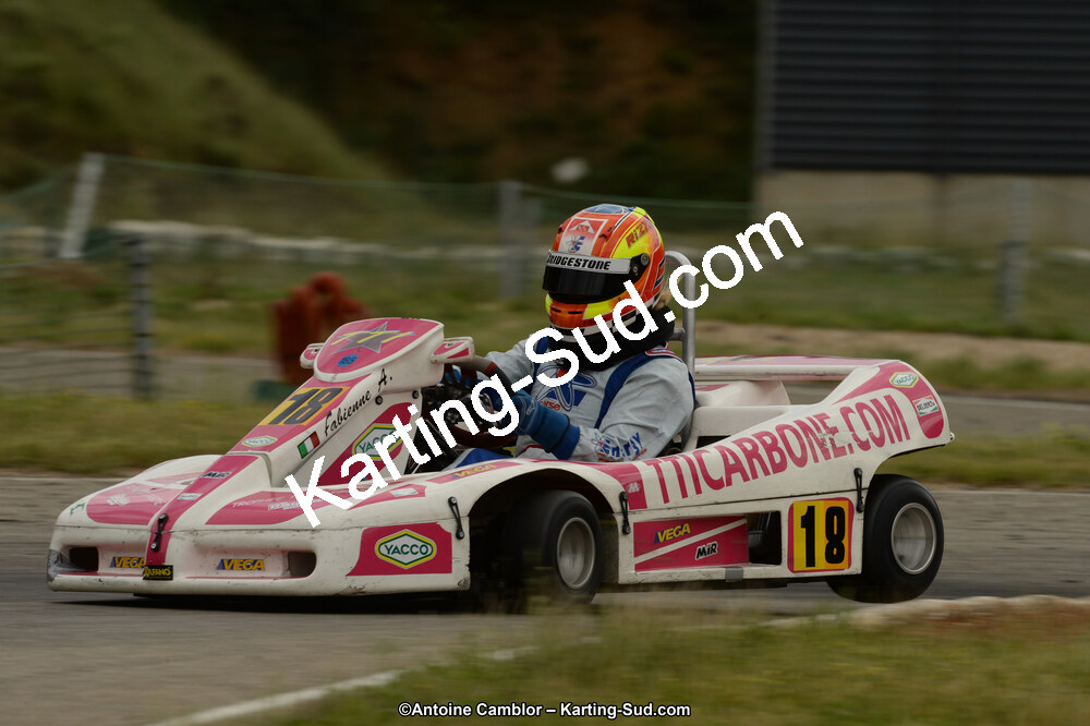 02/06/2013 : 4ème manche du Championnat du Sud 2013 à Alès (Photos Antoine Camblor) 2013 — karting