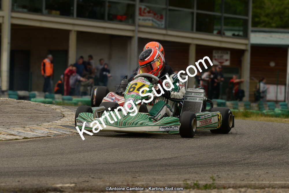 DSC_6168.jpg