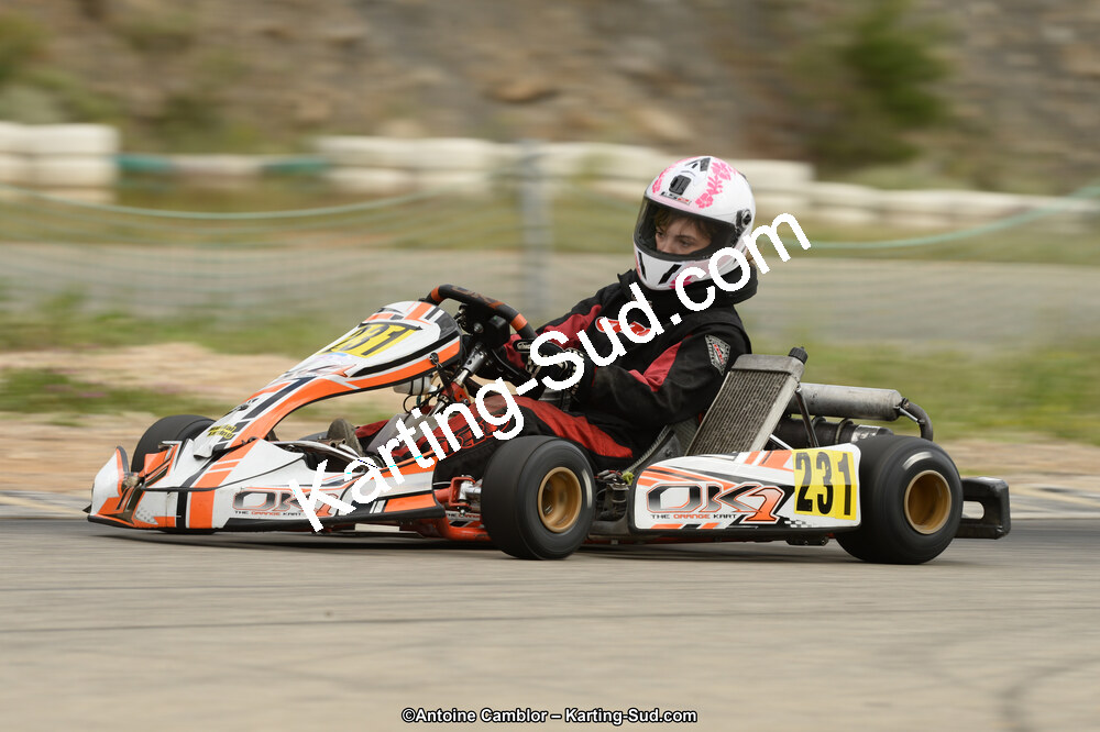 02/06/2013 : 4ème manche du Championnat du Sud 2013 à Alès (Photos Antoine Camblor) 2013 — karting