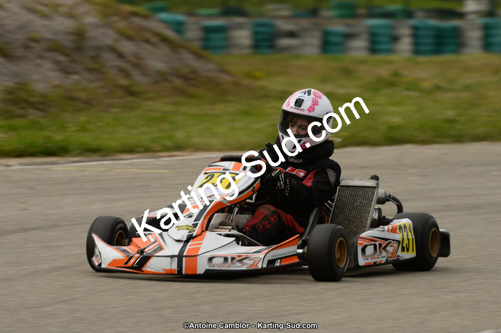 02/06/2013 : 4ème manche du Championnat du Sud 2013 à Alès (Photos Antoine Camblor) 2013 — karting