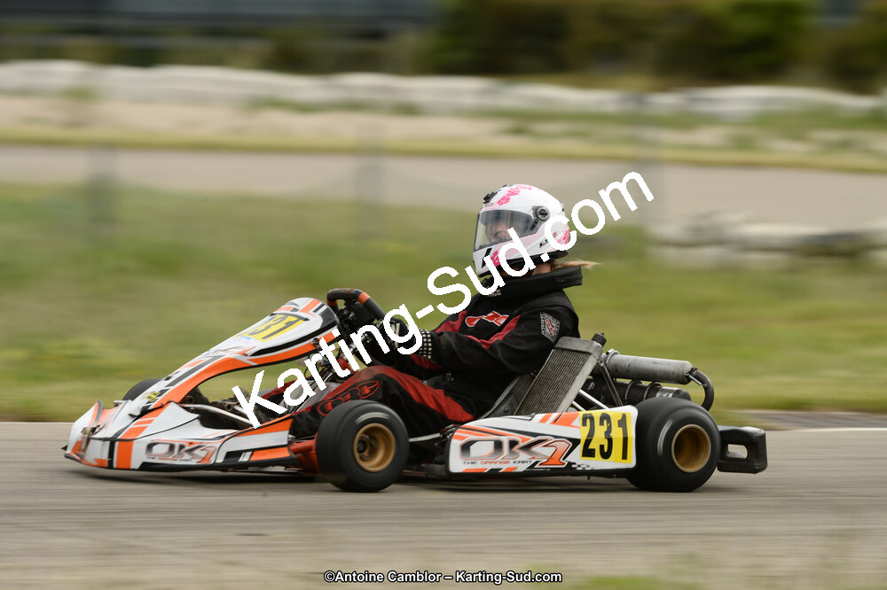 02/06/2013 : 4ème manche du Championnat du Sud 2013 à Alès (Photos Antoine Camblor) 2013 — karting